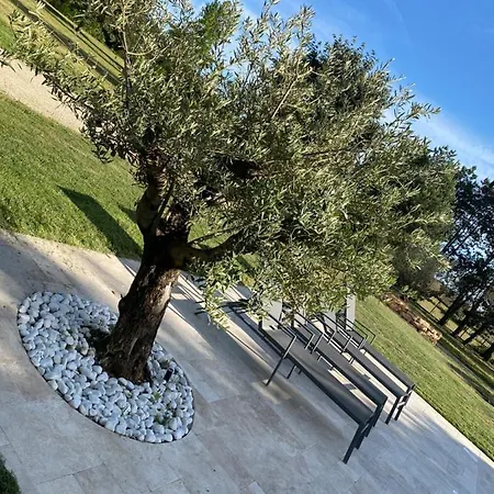 Domaine Des Oliviers * Saint-Savin (Isere)
